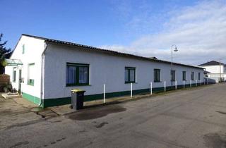 Gewerbeimmobilie kaufen in 14550 Groß Kreutz, Für Projektentwickler oder Gewerbe: Gewerbeareal mit Zukunft – Bestand oder Entwicklung