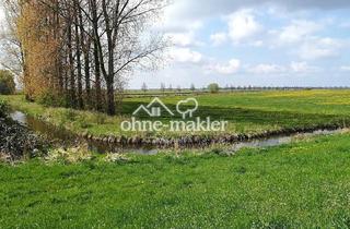Immobilie kaufen in 19309 Lenzen, Grünland / Acker und Bauland direkt an der Elbe