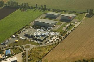 Gewerbeimmobilie mieten in 06526 Sangerhausen, 2000 m² Vega Halle in Sangerhausen, eingefriedet mit Stellplätzen