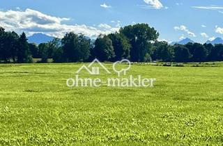 Immobilie kaufen in Bachfeldstraße, 86971 Peiting, Erschlossenes Baugrundstück