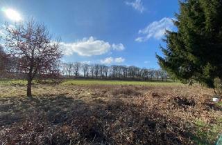 Garagen kaufen in 22397 Hamburg, Großzügiges Mehrfamilienhaus + Blockhütte auf großem Grundstück !