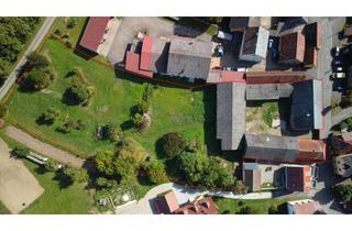 Lager kaufen in 96182 Reckendorf, Einmaliger Vierseithof im LK Bamberg! Riesiges Grundstück, 2 x Haus, Halle, 6000 qm Bauland! Garten!
