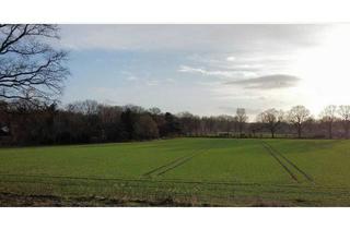 Anlageobjekt in 22889 Rade, Kapitalanlage: Neubau von 2 DHH und einem 2-Fam-Haus in gesuchter Lage von Tangstedt/Krs. Stormarn