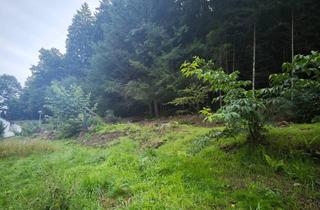 Immobilie kaufen in 69434 Hirschhorn, 1.283 m² Baugrundstück in Waldrandlage – Ideal für Ein- bis Vierfamilienhaus