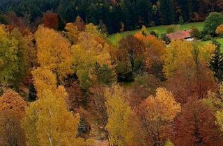 Lager kaufen in 94518 Spiegelau, 35.000 m² Grundstück im Zentrum von Spiegelau