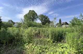 Immobilie kaufen in 31555 Suthfeld, Zentral in Suthfeld: Traumhaftes Grundstück für Ihr individuelles Bauprojekt.