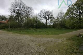 Immobilie kaufen in 24863 Börm, Idyllisches Grundstück im Grünen – Ihr Rückzugsort für neue Lebensideen!