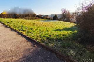 Immobilie kaufen in 72221 Haiterbach, Baugrundstück in Haiterbach - ca. 842 qm