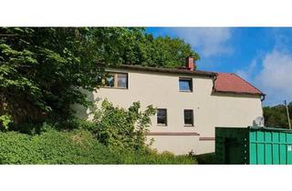 Einfamilienhaus kaufen in 08541 Neuensalz, Neuensalz - Einfamilienhaus (Schornstein Update)