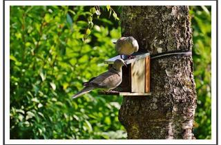 Wohnung kaufen in Siemensstraße 63, 12247 Berlin, Berlin - DG in SteglitzLankwitz: Kauf einfach gemacht: besichtigen, kaufen und einziehen :))