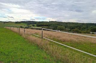Bauernhaus kaufen in 57610 Altenkirchen, Altenkirchen (Westerwald) - Pferdehaltung und mehr: Umfassend saniertes Bauernhaus mit Nebengebäuden und 3,54 ha Eigenland!