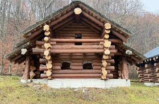 Haus kaufen in 04105 Leipzig, Leipzig - MUSTERHAUS - Naturstammhaus Blockhaus - ca. 163 m² - massiver R