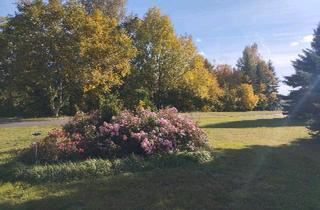 Haus kaufen in 16515 Oranienburg, Oranienburg - *Speckgürtel Berlin*knapp7000qmGrundstück*gr.Wohngebäude*grHalle