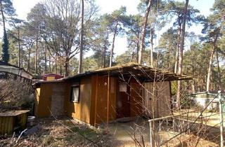 Haus kaufen in 15890 Eisenhüttenstadt, Eisenhüttenstadt - Bungalow Schervenzsee Schlaubetal Wald Holiday House