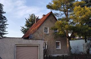 Einfamilienhaus kaufen in 04886 Beilrode, Beilrode - Einfamilienhaus mit 1008 m² Grundstück, freistehend