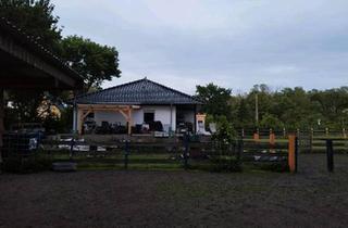 Haus kaufen in 06198 Salzatal, Salzatal - HausBungalow zu verkaufen