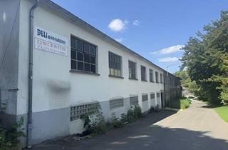 Haus kaufen in 57539 Breitscheidt, Breitscheidt - Acht Wohnungen - Zwei Hallen-viel Potential