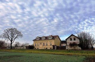 Haus kaufen in 12529 Schönefeld, Schönefeld - Vierseitenhof inkl. 3 Wohneinheiten nähe Flughafen Berlin Schönefeld