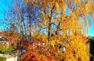 Wohnung kaufen in 85614 Kirchseeon, „Wohn(t)raum mit Seltenheitswert: DG-Charme trifft auf 95 m² privaten Gartenanteil“