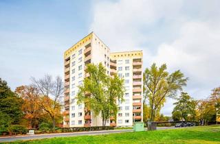 Wohnung kaufen in 63457 Hanau, Hanau-Wolfgang: Gepflegte und vermietete 3-Zimmer-Wohnung mit Süd-West Loggia und tollem Grundriss