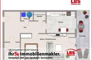 Wohnung mieten in 55232 Alzey, LBS Alzey 1 ZKB Souterrain-Wohnung mit Terrasse