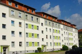 Wohnung mieten in Siegfried-Rädel-Straße 4c, 01809 Heidenau, Helle und gemütliche 2-Raum-Dachgeschosswohnung