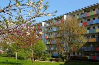 Wohnung mieten in Käthe-Kollwitz-Straße 16, 01809 Heidenau, Freundliche 3-Zimmer-Wohnung mit viel Tageslicht