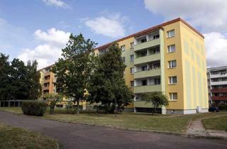 Wohnung mieten in Eike-Von-Repgowe-Str. 08, 06849 Süd, 3-RWE in Süd