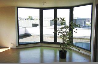 Wohnung mieten in 53343 Wachtberg, Helle Wohnung mit großem Sonnenbalkon in Wachtberg- Villip. Provisionsfrei!