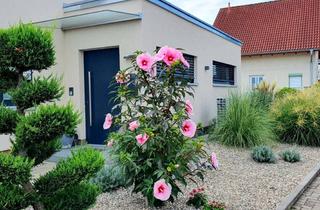 Haus kaufen in 67360 Lingenfeld, NEU – hochwertiges Architektenhaus für gehobene Ansprüche – KEINE Maklergebühren!!!