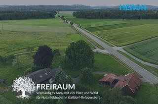 Haus kaufen in 74405 Gaildorf, FREIRAUM – Weitläufiges Areal mit viel Platz und Wald für Naturliebhaber in Gaildorf-Reippersberg