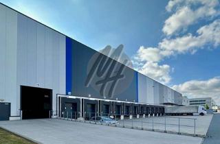 Büro zu mieten in 60549 Flughafen, KEINE PROVISION ✓ AIRPORT / CARGO CITY ✓ RAMPE + EBEN ✓ Lager (15.000 m²) & Büro zu vermieten