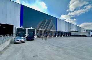 Büro zu mieten in 60549 Flughafen, KEINE PROVISION ✓ AIRPORT / CARGO CITY ✓ RAMPE + EBEN ✓ Lager (5.000 m²) & Büro zu vermieten