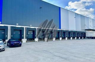 Büro zu mieten in 60549 Flughafen, KEINE PROVISION ✓ AIRPORT / CARGO CITY ✓ RAMPE + EBEN ✓ Lager (10.000 m²) & Büro zu vermieten
