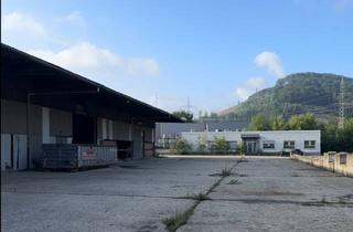 Gewerbeimmobilie mieten in 58791 Werdohl, Gewerbeeinheit zur Miete: Lagerhalle ca. 1.575 m² mit Außenbereich ca. 3.900 m²