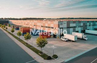 Gewerbeimmobilie mieten in 63500 Seligenstadt, ! Erstklassiger Logistik-Neubau ☆ WGK-Standard ☆ 2027 bezugsfertig ☆ Teilbar !