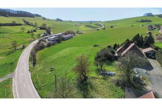 Grundstück zu kaufen in 67699 Heiligenmoschel, Ein außergewöhnliches Grundstück für Visionäre und Macher!