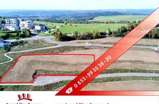 Grundstück zu kaufen in 54331 Pellingen, Exklusives Grundstück, 2.777 m² für Mehrfamilenhäuser oder individuelle Wohnkonzepte!