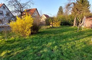 Grundstück zu kaufen in 63933 Mönchberg, Ihr Bauplatz in Mönchberg – sonnig, ruhig, naturverbunden