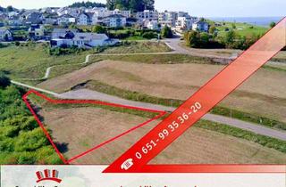 Grundstück zu kaufen in 54331 Pellingen, Exklusives Baugrundstück mit 2.104 m² für Mehrfamilienhäuser und individuelle Wohnkonzepte!