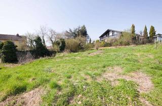 Grundstück zu kaufen in 67229 Großkarlbach, Charmantes Baugrundstück mit Gewölbekeller in idyllischer Weinlage