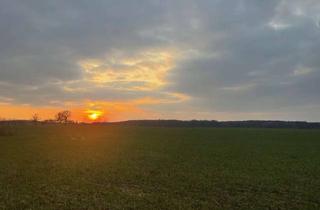 Grundstück zu kaufen in 17207 Bollewick, Baugrundstück in ruhiger Lage