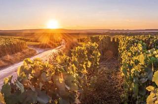 Grundstück zu kaufen in 64823 Groß-Umstadt, Logenplatz am Weinberg: Ihr neues Zuhause in Groß-Umstadt