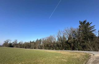 Gewerbeimmobilie kaufen in 94113 Tiefenbach, Waldgrundstück bei Tiefenbach