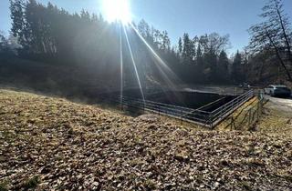 Gewerbeimmobilie kaufen in 94034 Hacklberg, Wiesen- und Waldgrundstück Nähe Passau-Patriching