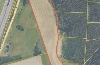 Gewerbeimmobilie kaufen in 86415 Mering, Vielseitig nutzbare Wiesenfläche in Kesselbrunn - ideal als Ausgleichsfläche