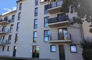 Wohnung kaufen in Pasewalker Straße 98a, 13127 Französisch Buchholz, 2-Zimmer Wohnung mit Balkon in Berlin-Französisch Buchholz