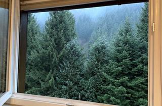 Wohnung mieten in Rotenbuck 61, 79244 Münstertal, Helle 100 m² Wohnung mit Balkon in Münstertal/Schwarzwald