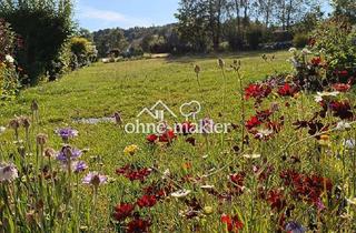 Grundstück zu kaufen in 95138 Bad Steben, Einmalige Gelegenheit traumhaftes Baugrundstück in Bad Steben