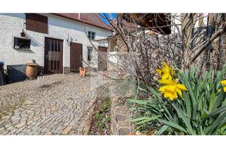 Bauernhaus kaufen in 04808 Hohburg, Kleines Bauernhaus mit Charme und Potenzial - Bieterverfahren für Individualisten mit Ideen